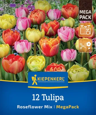 KIEPENKERL Blumenzwiebel Mega-Pack Gefüllte Tulpe 'Rosentulpen-Mischung', 12 Stück Cover
